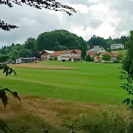 Im Bayerischen Wald Mit Whirlpool Daire Waldkirchen