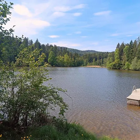 Im Bayerischen Wald Mit Whirlpool * Waldkirchen