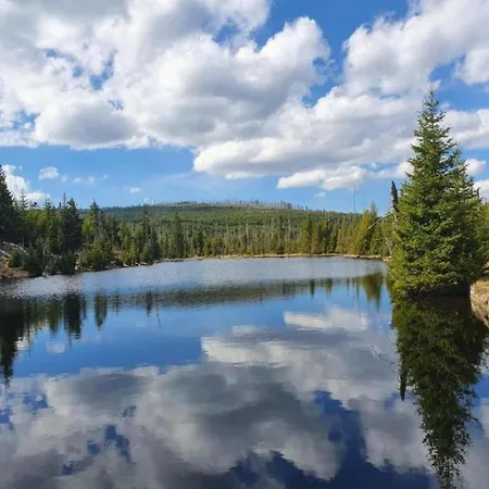 Im Bayerischen Wald Mit Whirlpool * Waldkirchen
