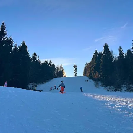 Daire Im Bayerischen Wald Mit Whirlpool