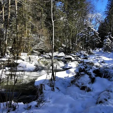 Daire Im Bayerischen Wald Mit Whirlpool Waldkirchen